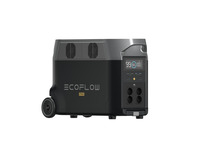 813304 EcoFlow DELTA Pro